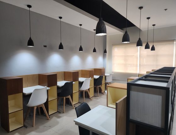Individual study carrels with pendant lighting