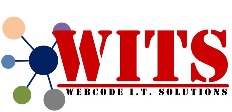 WITS Logo