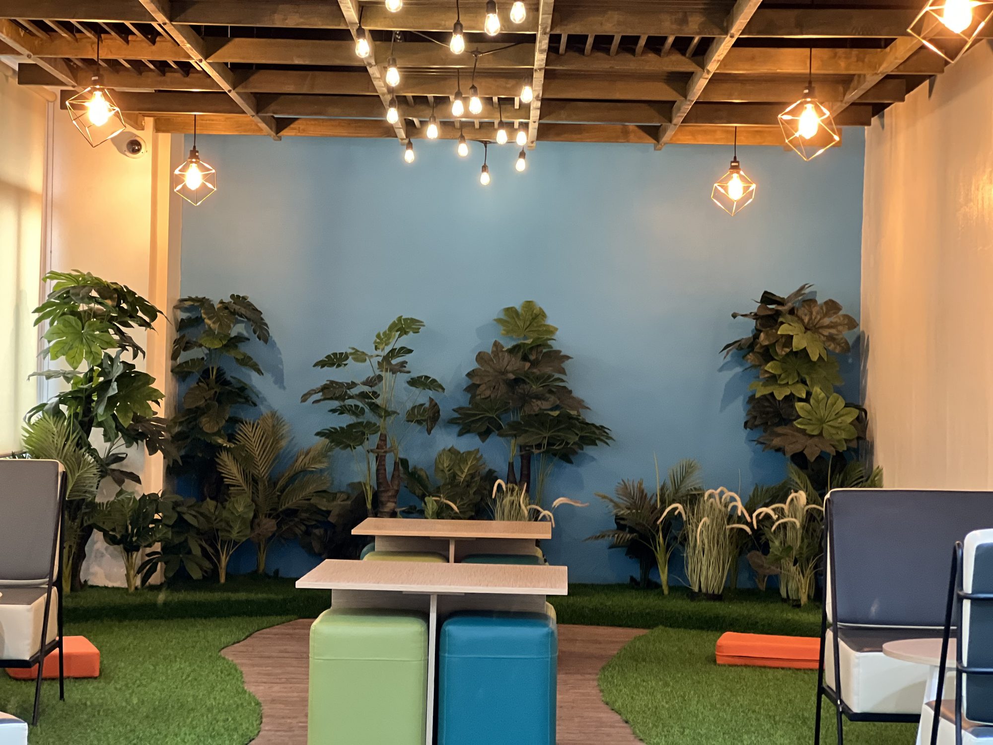 Forest mural wall with potted plants and a green astroturf floor
